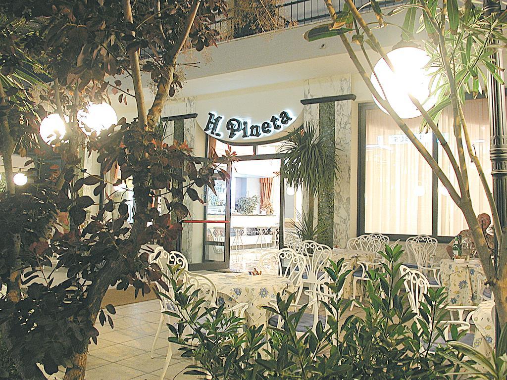 Hotel Pineta Bellaria-Igea Marina Exterior photo